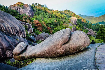 玉苍山国家森林公园第 13 张图片