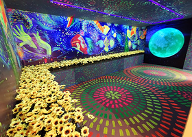 梵高星空艺术馆(珠海旗舰店)