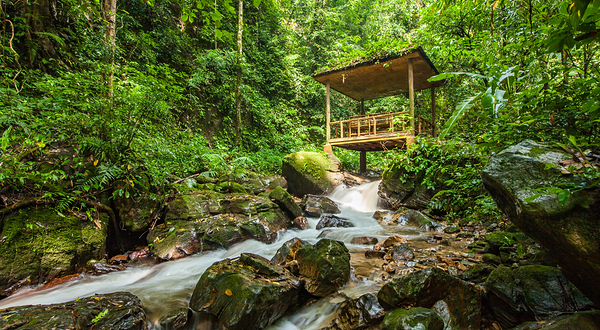 莫里热带雨林景区