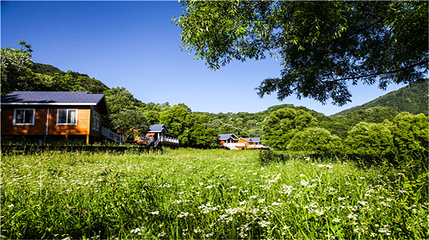 云屏三峡第 4 张图片