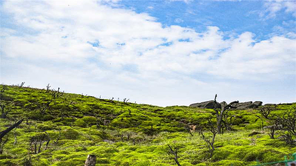 云冰山旅游景区第 7 张图片