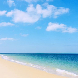 叶榕海滩