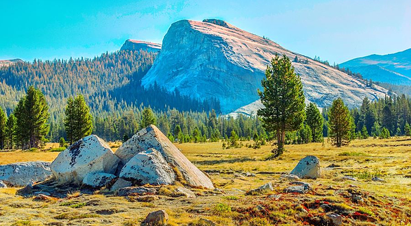 Tuolumne Meadows