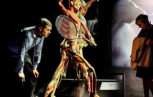 人体世界展览 伦敦站