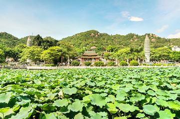 厦门园林植物园-五老峰第 5 张图片