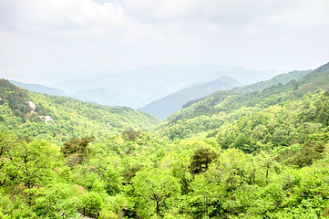 龟峰山景区第 21 张图片
