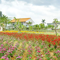 瑷露德玛芦荟庄园