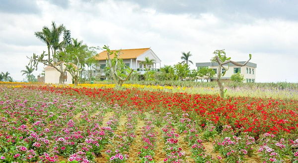 瑷露德玛芦荟庄园