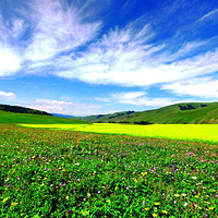 和静县班禅沟景区