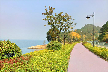 千岛湖乐游环湖骑行第 9 张图片
