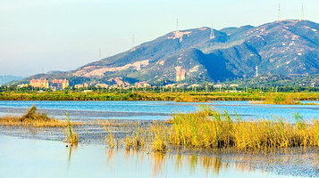 新会银湖湾湿地公园