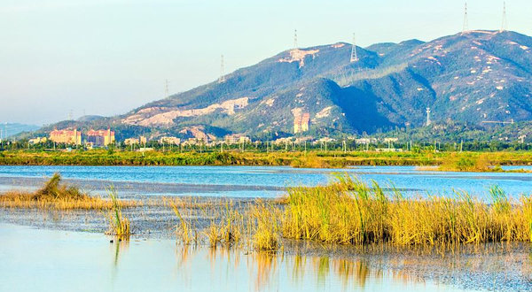 新会银湖湾湿地公园