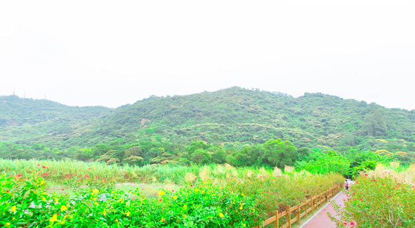 黄山鲁森林公园