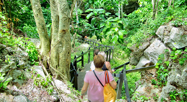 瓦拉希卡科斯生态保护区