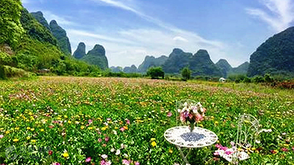 香草森林第 9 张图片