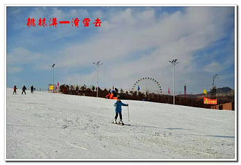 桃林沟滑雪场第 7 张图片