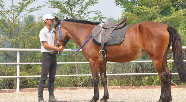 凤凰河马术俱乐部