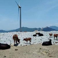 瑞安双溪寨漂流