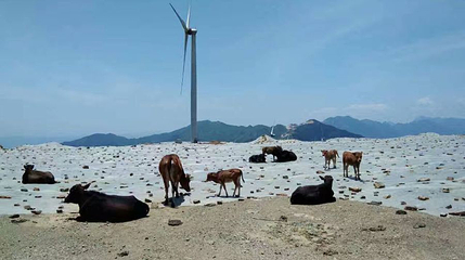 瑞安双溪寨漂流第 1 张图片