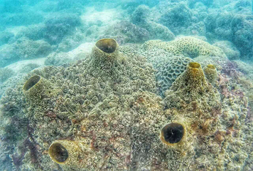 石螺口海滩第 12 张图片