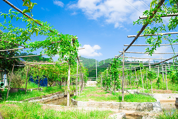 耕山小寨欢乐农场第 2 张图片