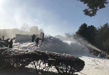 南怡岛第 90 张图片