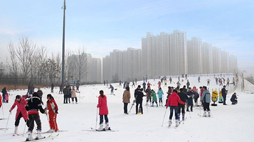 保定植物园滑雪场