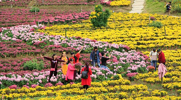 五脑山森林公园