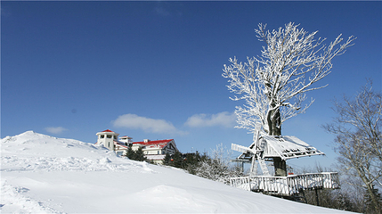 亚布力阳光度假村滑雪场第 42 张图片