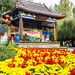 竹泉村