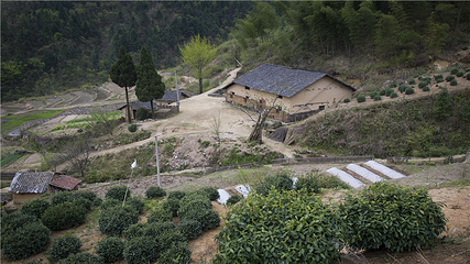 道元古村景区第 19 张图片