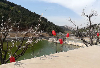 成山景区第 2 张图片
