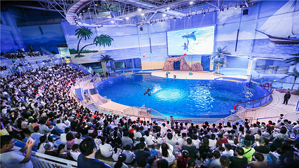 寿光极地海洋世界第 12 张图片