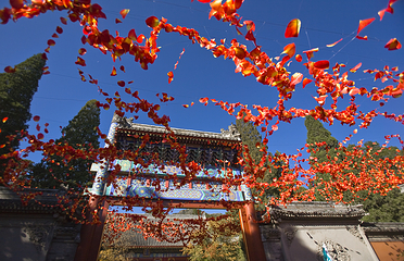 香山公园第 16 张图片