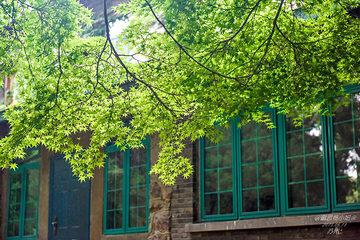 苏州大学(天赐庄校区)第 14 张图片