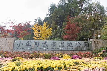 阿哈湖国家湿地公园第 12 张图片