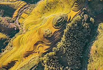 龙脊梯田风景名胜区-金坑梯田第 24 张图片