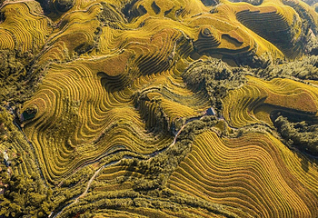 龙脊梯田风景名胜区-金坑梯田第 23 张图片