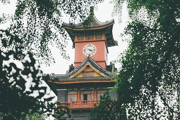 四川大学(望江校区)第 52 张图片