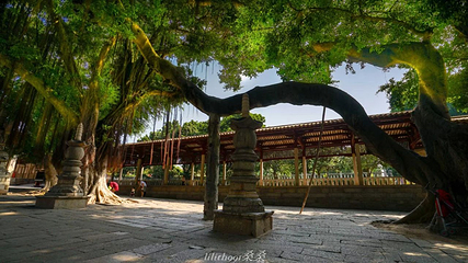 泉州开元寺第 68 张图片