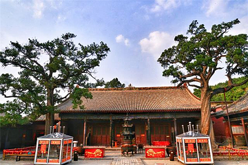 广胜寺第 22 张图片