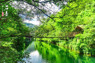 醉山野景区第 8 张图片