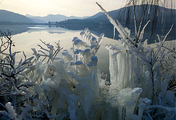 五阳湖生态旅游度假区第 25 张图片