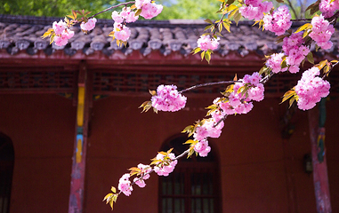 琅琊寺第 23 张图片