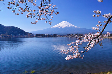 富士山第 4 张图片