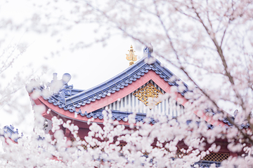 无锡市太湖鼋头渚风景区第 27 张图片