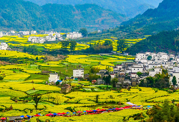 江岭景区第 51 张图片