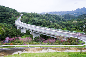 八重岳樱之森公园