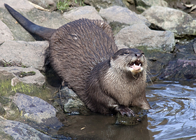 伯明翰自然中心