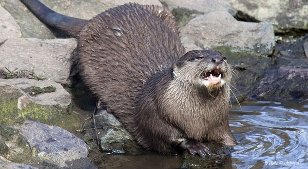 伯明翰自然中心